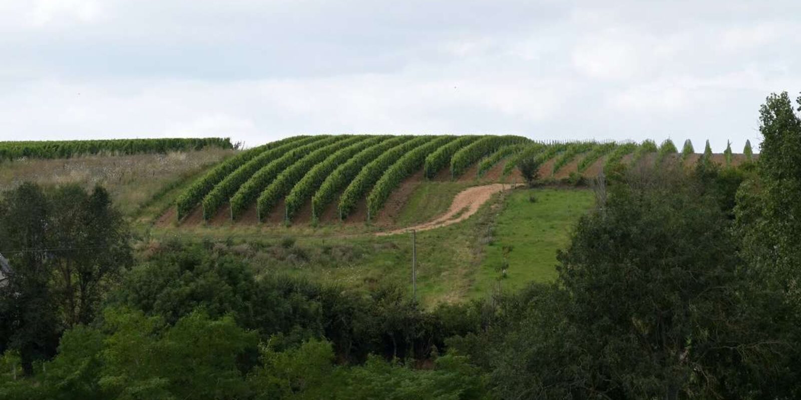 domaine-martellière