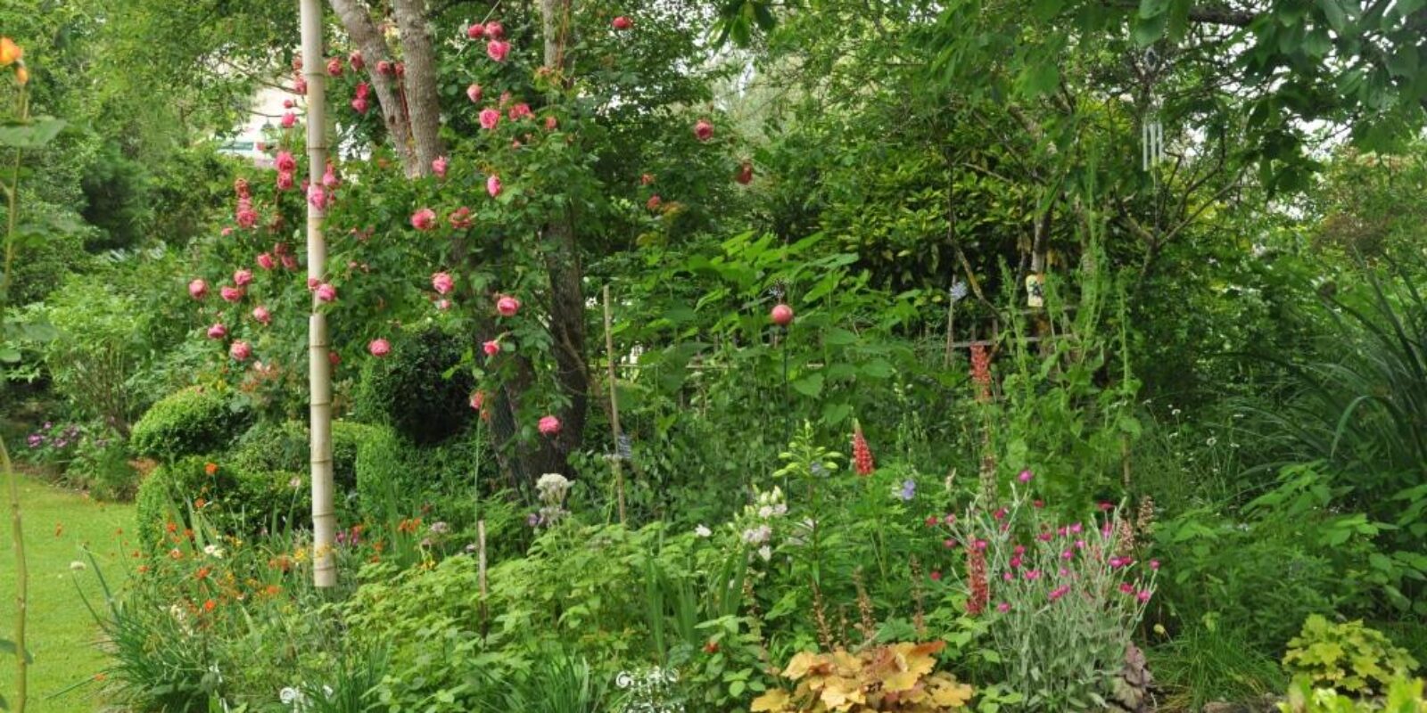 jardin-metamorphozes-valaire