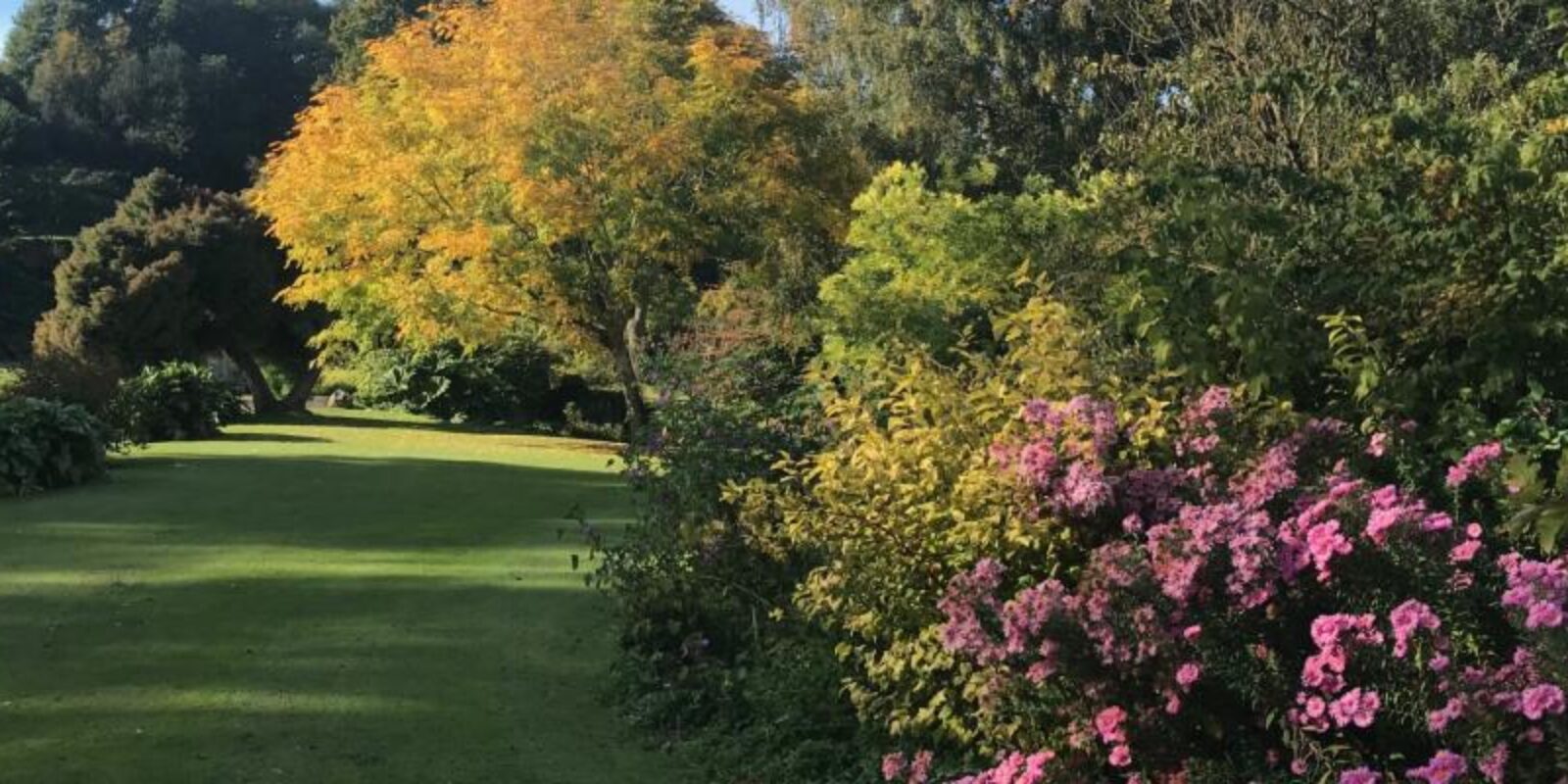 jardin-plessis-sasnieres