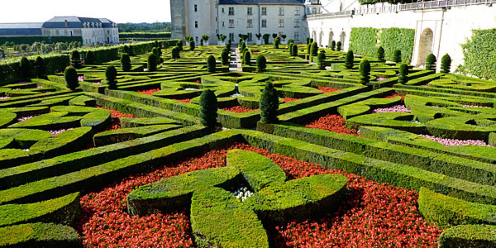 jardin-du-chateau-de-cheverny