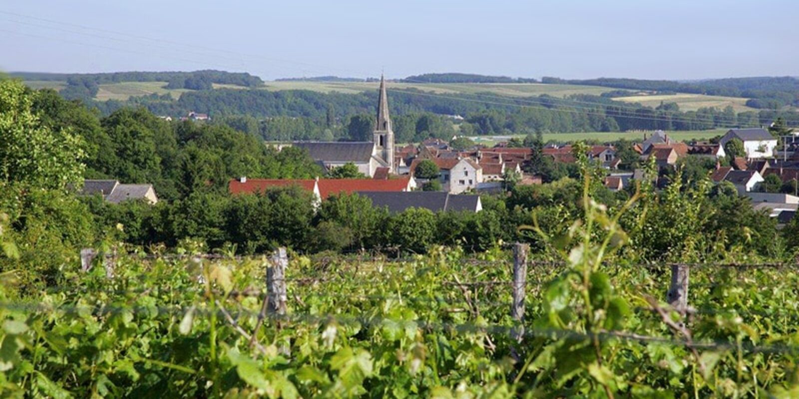 coteaux-thore-la-rochette