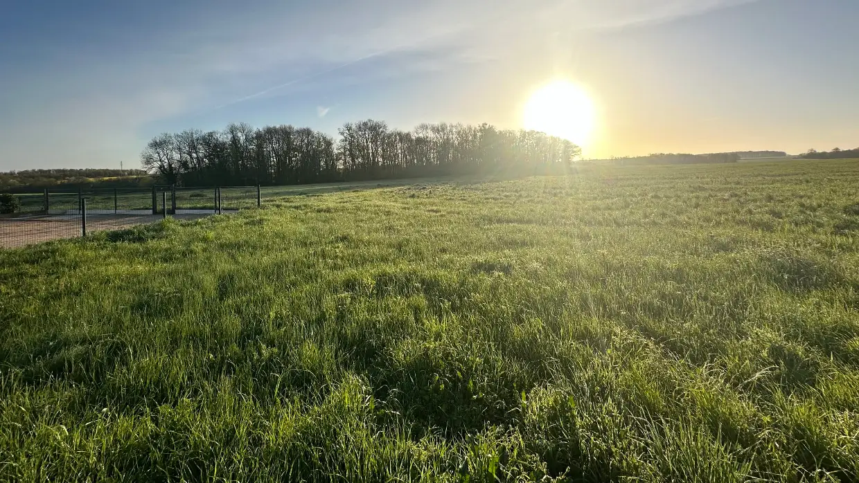 Champs et campagne du Loir-et-Cher autour de L’Escale Arc-en-Ciel, sur la route des vins du Val de Loire